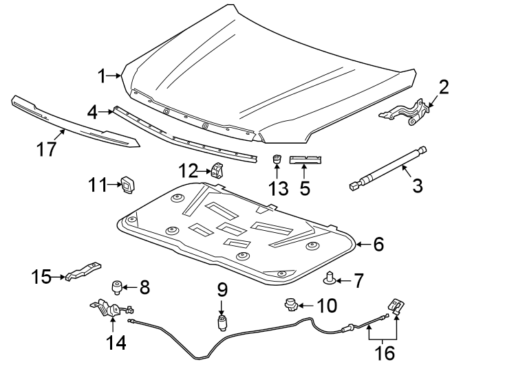 Diagram Hood & components. for your 2020 Chevrolet Suburban    