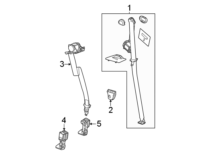 Restraint systems. Rear seat belts.