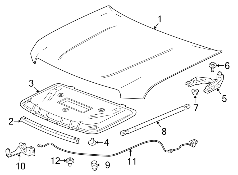 Diagram Exterior trim. Hood & components. for your 2021 Chevrolet Camaro   