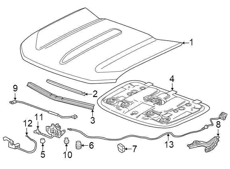 Diagram Hood & components. for your Buick Regal TourX  