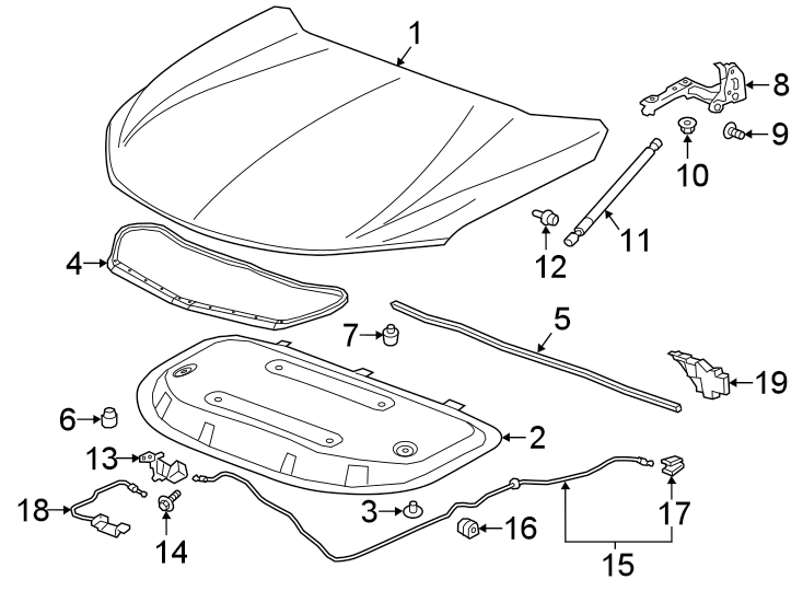 Diagram HOOD & COMPONENTS. for your 2021 Chevrolet Silverado 1500 WT Extended Cab Pickup  