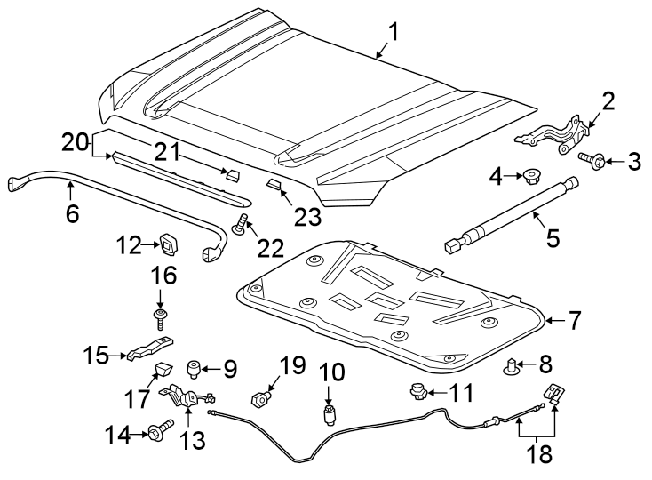 Diagram HOOD & COMPONENTS. for your 2021 Chevrolet Express 3500   