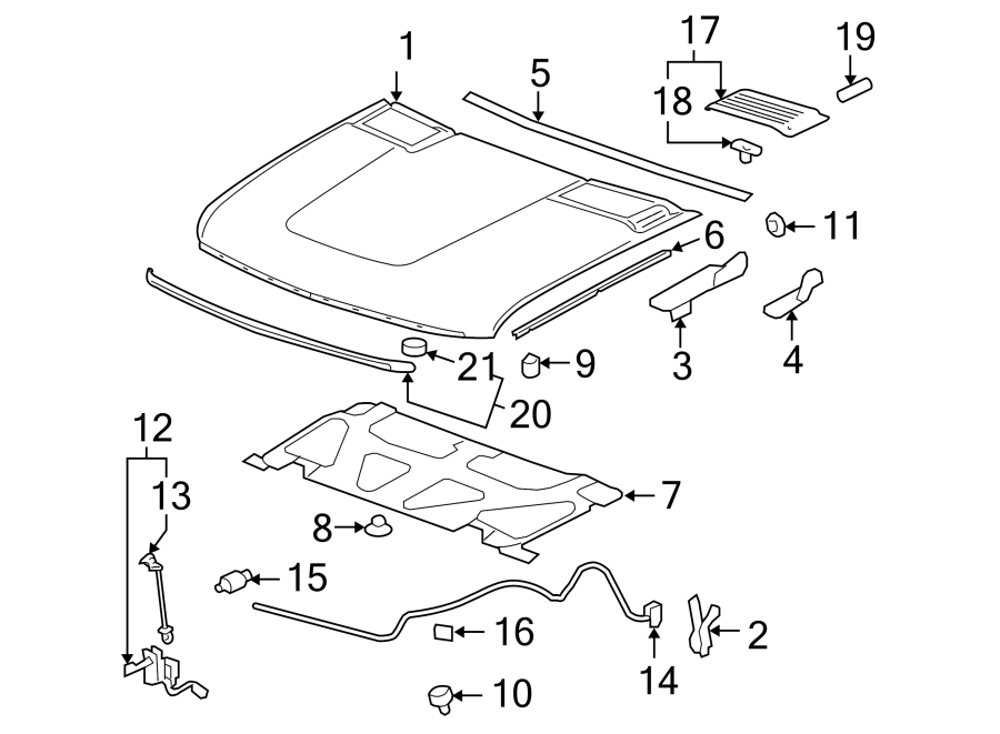 Diagram EXTERIOR TRIM. HOOD & COMPONENTS. for your Chevrolet Celebrity  