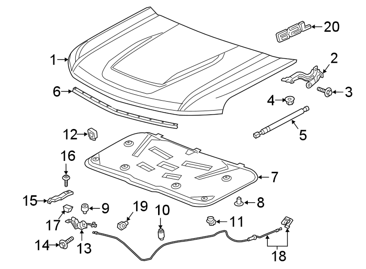 Diagram HOOD & COMPONENTS. for your 2021 Chevrolet Silverado 1500 High Country Crew Cab Pickup Fleetside  