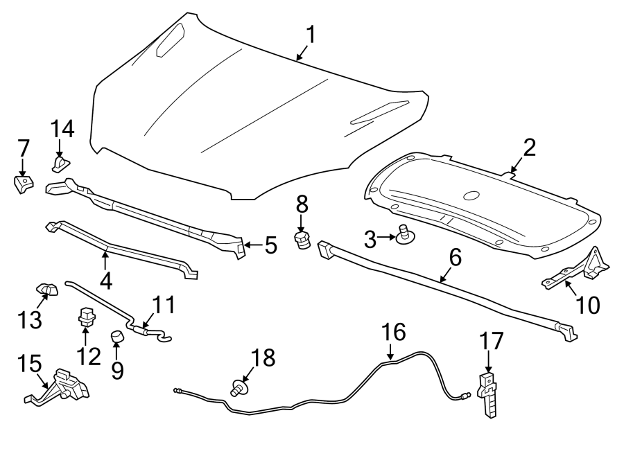 Diagram HOOD & COMPONENTS. for your 2020 Chevrolet Suburban    