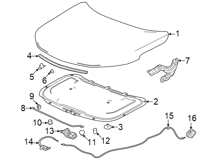 Diagram Hood & components. for your 2020 Chevrolet Suburban    