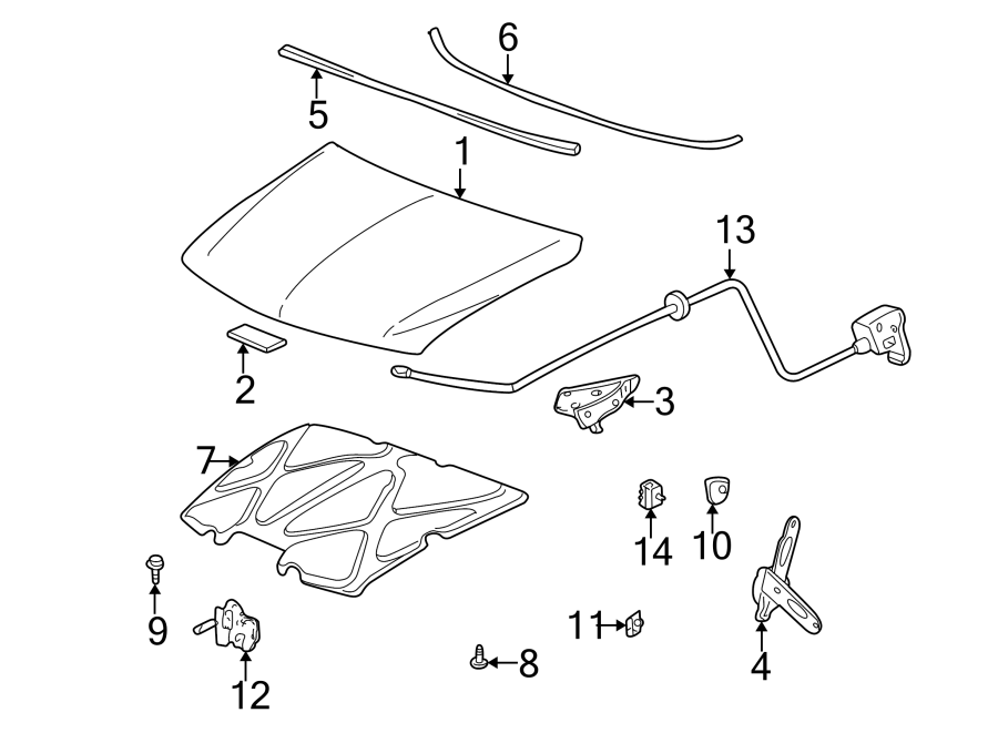 Diagram Hood & components. for your 2002 Buick Century   