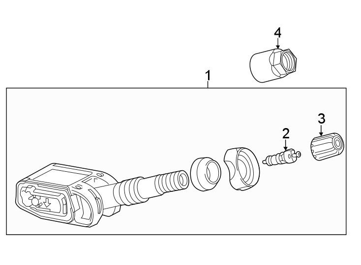 Tire pressure monitor components.