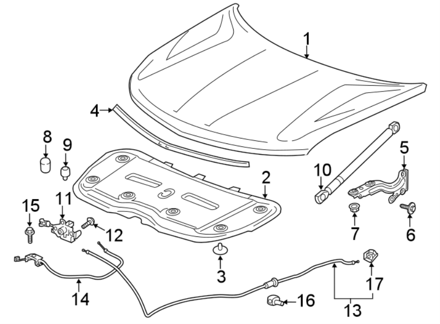 Diagram HOOD & COMPONENTS. for your Chevrolet