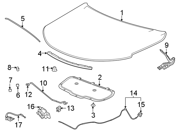 Diagram Hood & components. for your 2020 Chevrolet Suburban    