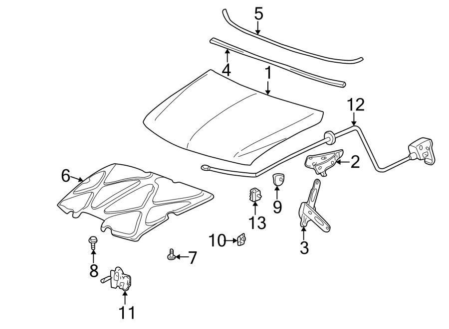 Diagram HOOD & COMPONENTS. for your 2025 Chevrolet Corvette E-Ray Coupe  