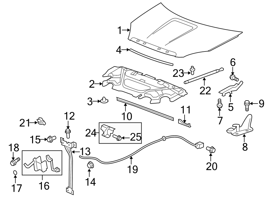 Diagram HOOD & COMPONENTS. for your 2019 Chevrolet Suburban    