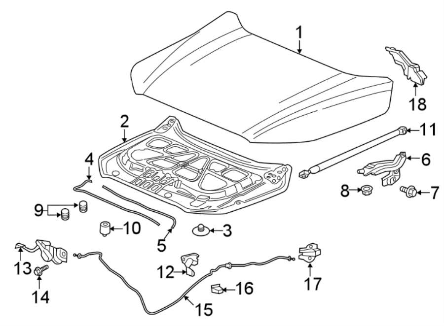 Diagram HOOD & COMPONENTS. for your 2021 Chevrolet Silverado 1500 WT Extended Cab Pickup  