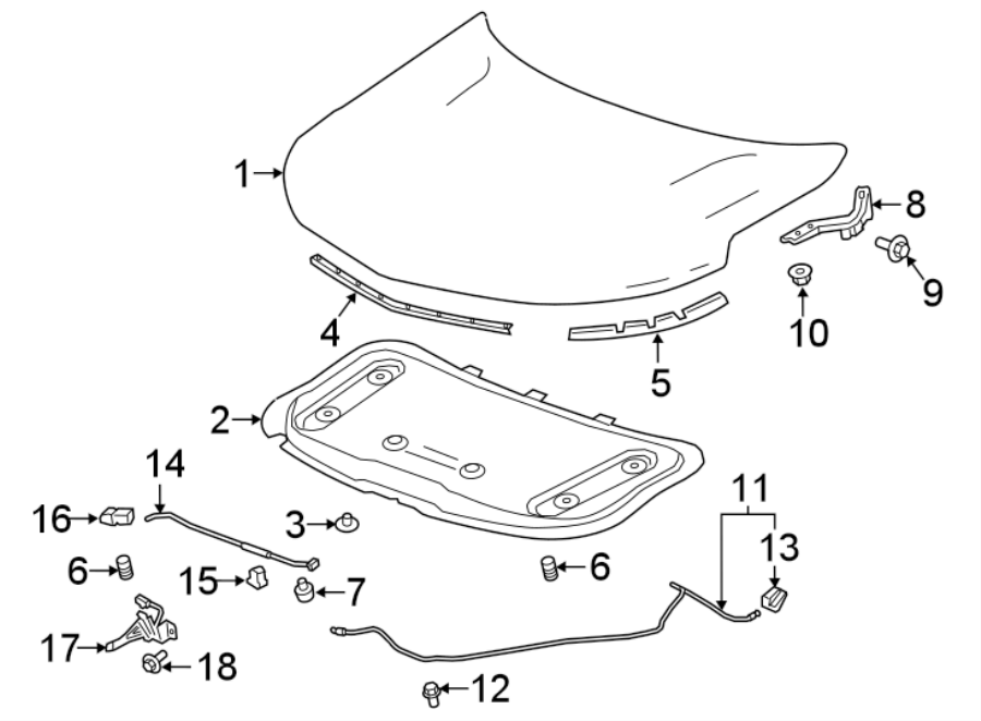 Diagram HOOD & COMPONENTS. for your 2021 Chevrolet Silverado 1500 WT Extended Cab Pickup  