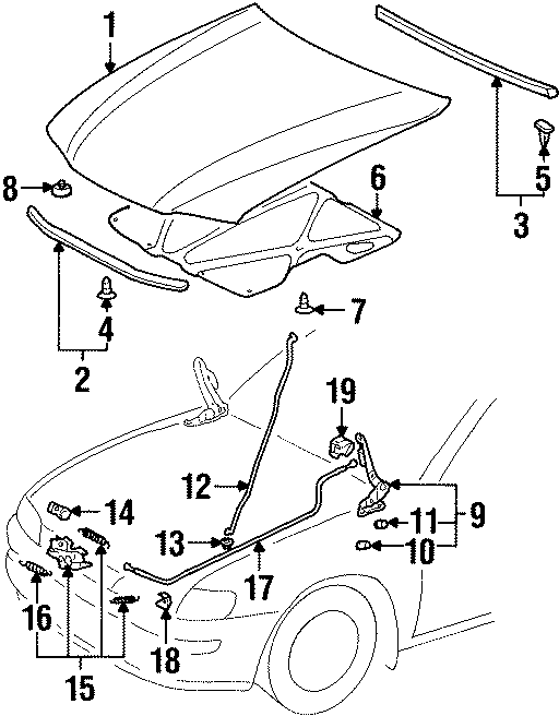 Diagram HOOD & COMPONENTS. for your 2020 Chevrolet Suburban    