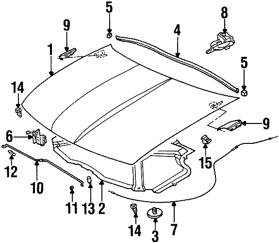 HOOD & COMPONENTS.