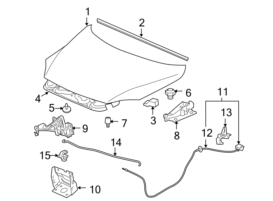 11HOOD & COMPONENTS.https://images.simplepart.com/images/parts/motor/fullsize/IF05070.png