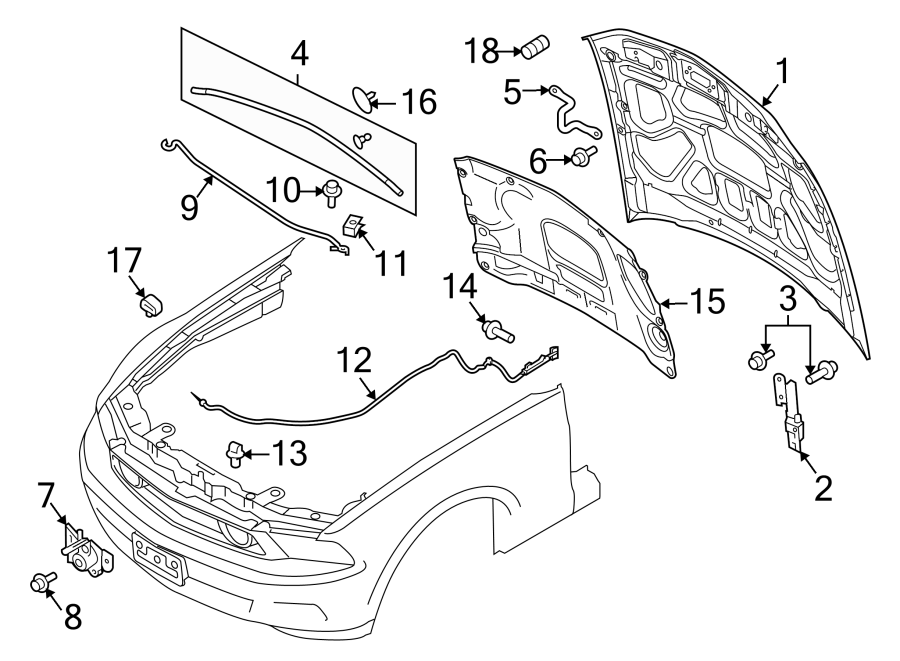 Diagram HOOD & COMPONENTS. for your Ford