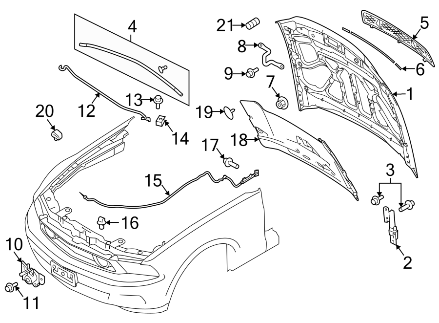 Diagram HOOD & COMPONENTS. for your 2019 Lincoln MKZ Reserve II Sedan  