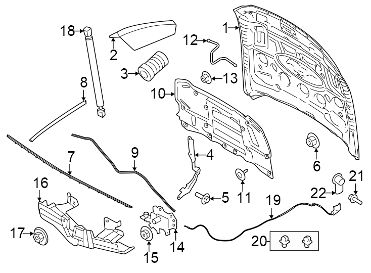 Diagram Hood & components. for your 2010 Lincoln MKZ   