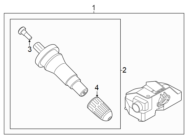 Diagram W/DARK Horse. W/O Dark Horse. for your Ford Transit Connect  