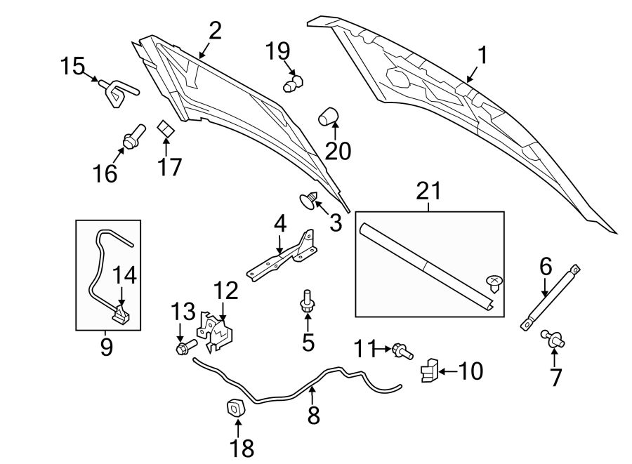 Diagram Hood & grille. Hood & components. for your Ford