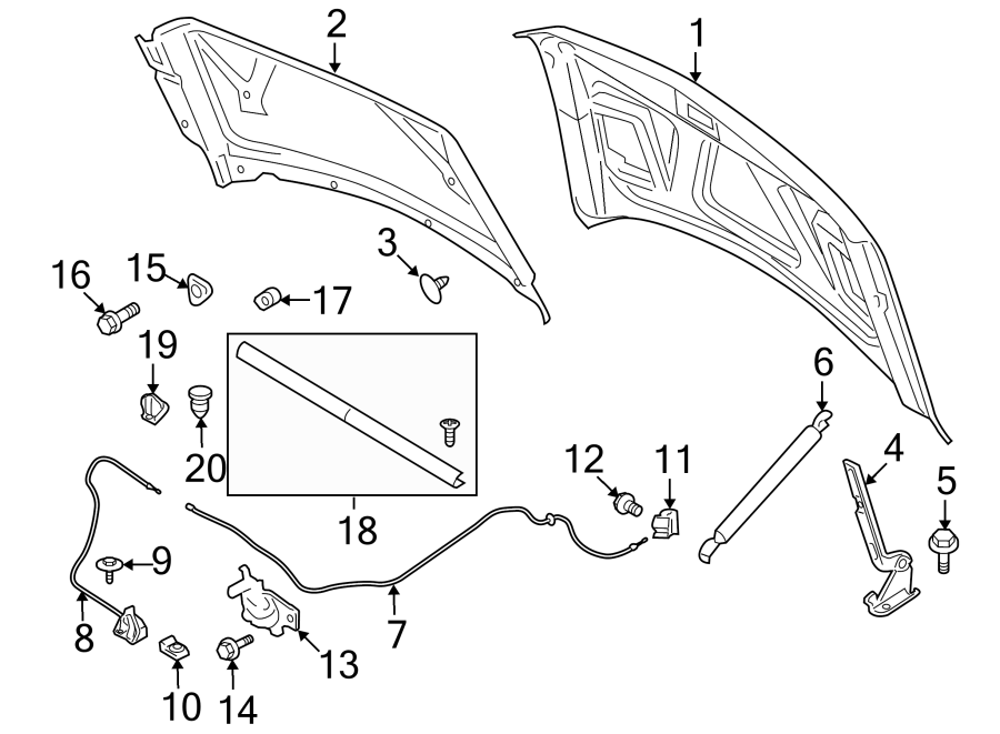 Diagram HOOD & GRILLE. HOOD & COMPONENTS. for your Ford