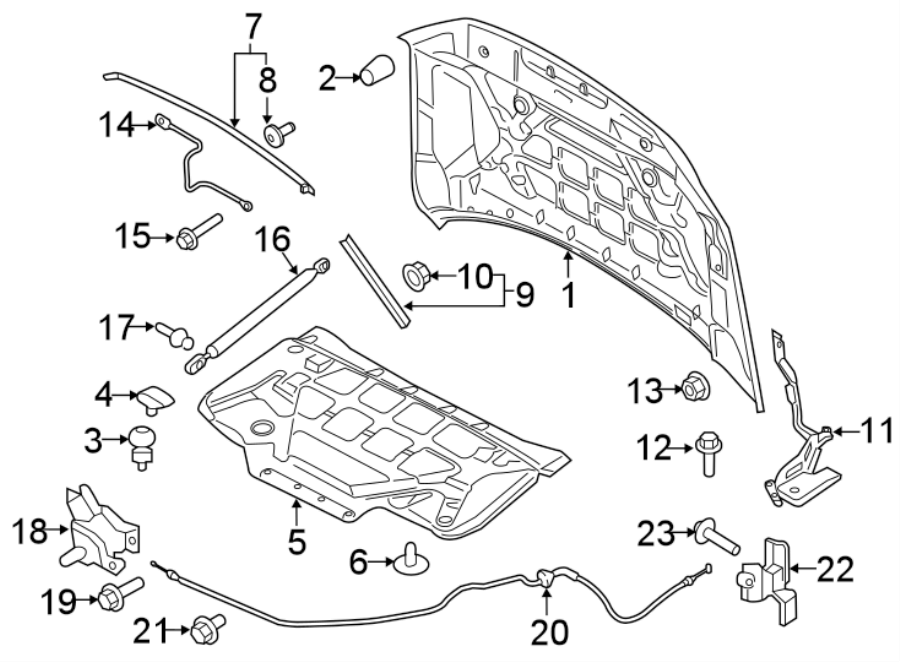 Diagram HOOD & COMPONENTS. for your 2019 Lincoln MKZ Hybrid Sedan  