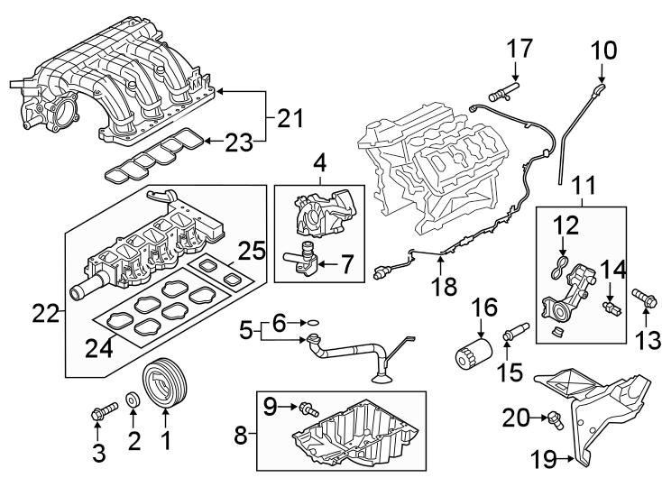 Diagram ENGINE PARTS. for your 2022 Ford F-150 5.0L V8 FLEX A/T 4WD Lariat Crew Cab Pickup Fleetside 