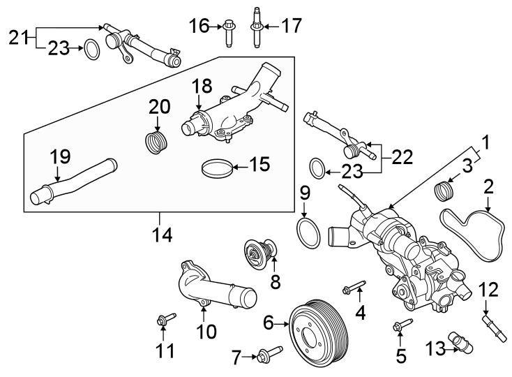 Diagram Water pump. for your Ford