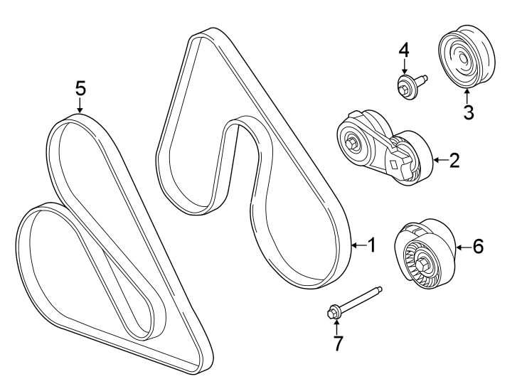 Diagram Belts & pulleys. for your Ford F-150  