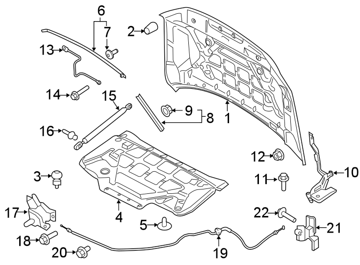 Diagram Hood & components. for your Ford