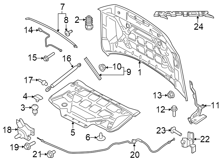 Diagram Hood & components. for your 2018 Ford F-150 3.0L Power-Stroke V6 DIESEL A/T RWD Lariat Extended Cab Pickup Fleetside 