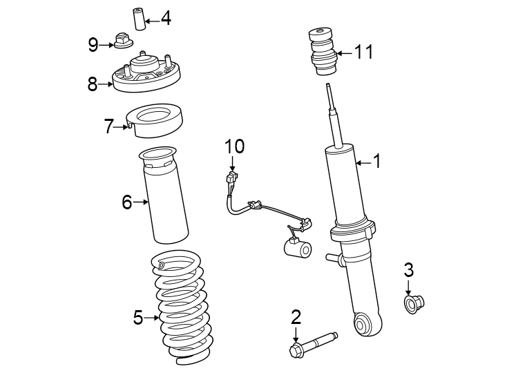 Diagram Front suspension. Struts & components. for your 2024 Ford F-150  Raptor R Crew Cab Pickup Fleetside 