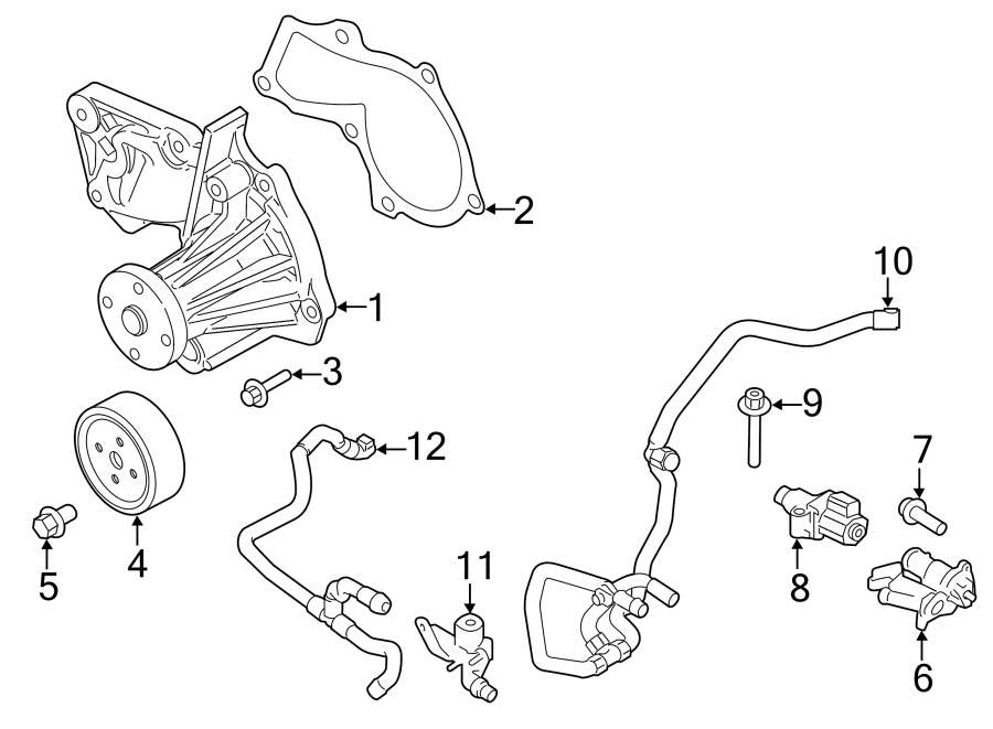 Diagram WATER PUMP. for your Ford Transit Connect  