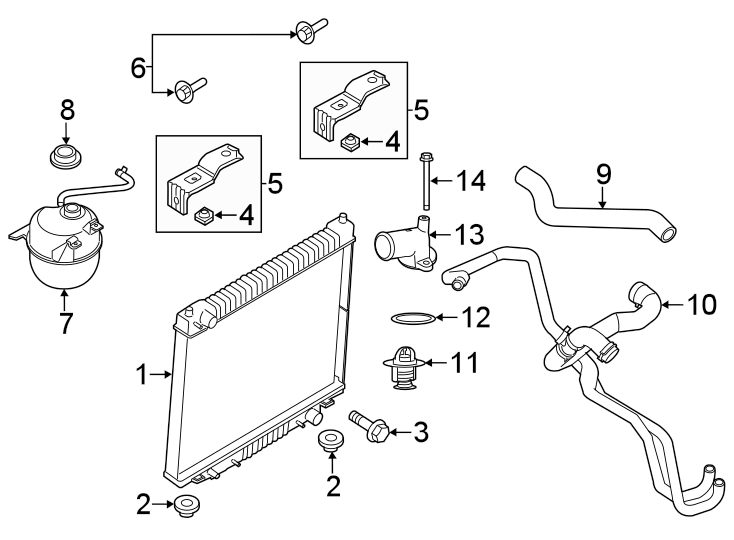 Radiator & components. Diagram