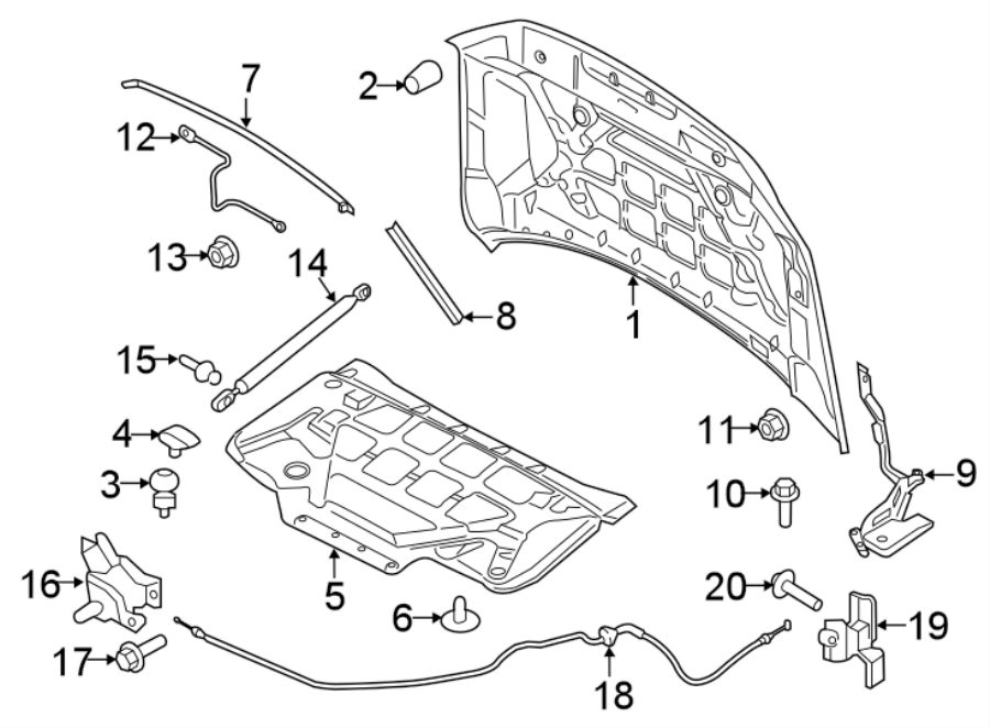 Diagram HOOD & COMPONENTS. for your 2019 Lincoln MKZ Hybrid Sedan  