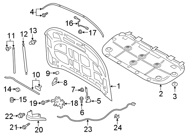 Diagram HOOD & COMPONENTS. for your 2020 Ford Ranger   