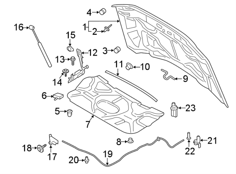 Diagram HOOD & COMPONENTS. for your Ford