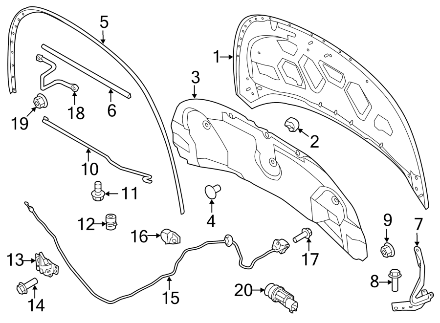 Diagram HOOD & COMPONENTS. for your 2018 Ford F-150  Lariat Crew Cab Pickup Fleetside 