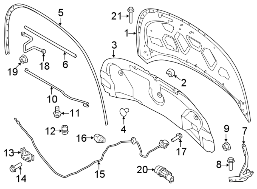 Diagram HOOD & COMPONENTS. for your Ford Explorer  