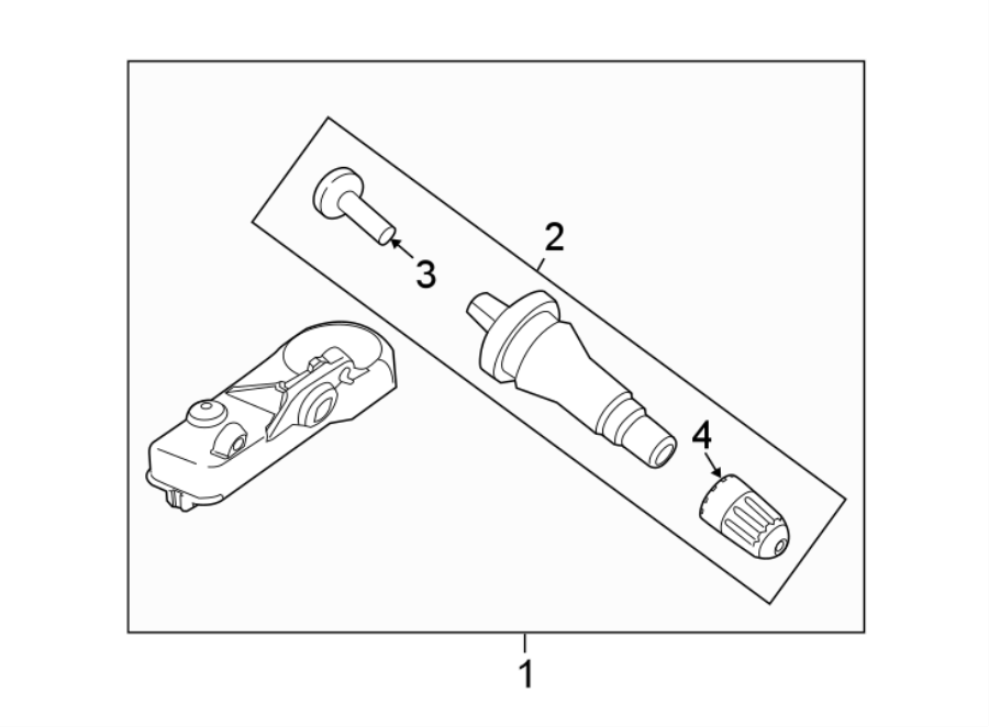 Diagram TIRE PRESSURE MONITOR COMPONENTS. for your 2019 Ford Transit Connect   