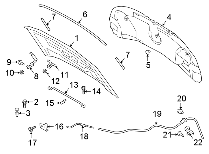 Diagram HOOD & COMPONENTS. for your 2006 Ford F-150 5.4L Triton V8 A/T 4WD FX4 Standard Cab Pickup Stepside 