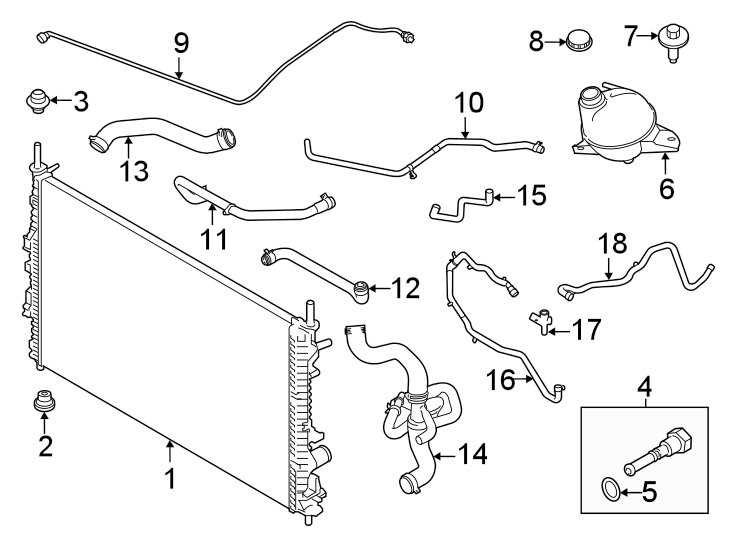 Diagram Radiator & components. for your Ford Ranger  