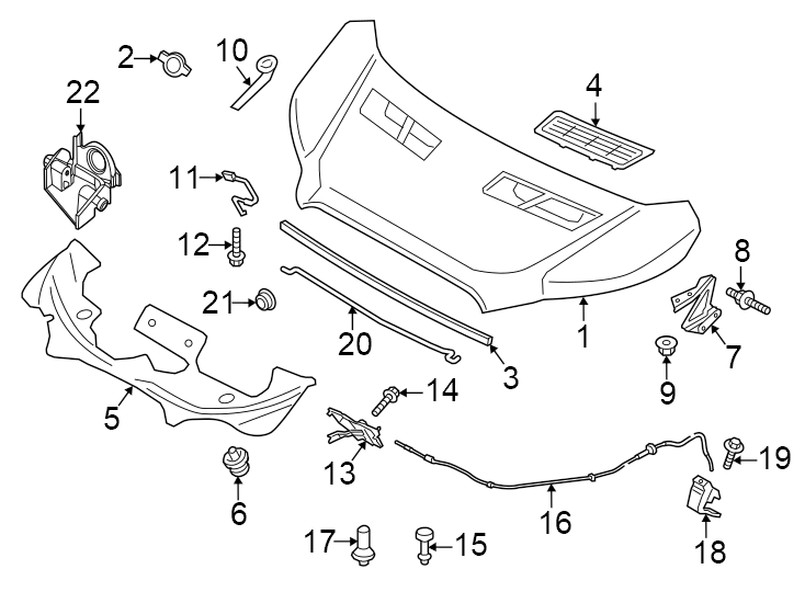 Diagram Hood & components. for your 2016 Ford F-150 5.0L V8 FLEX A/T RWD Lariat Crew Cab Pickup Fleetside 