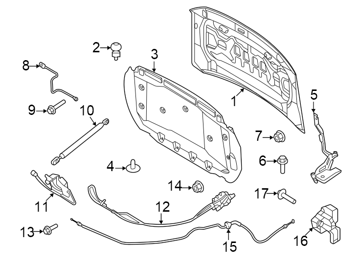 Diagram Hood & grille. Hood & components. for your 2014 Ford F-150 3.7L V6 CNG A/T 4WD XLT Extended Cab Pickup Fleetside 