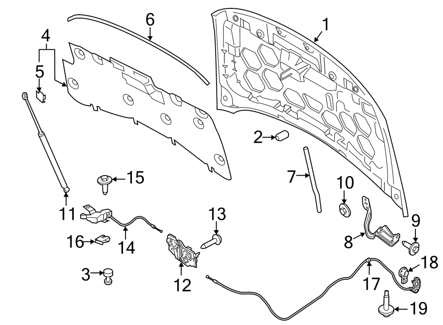 Diagram HOOD & COMPONENTS. for your 2015 Lincoln MKZ   