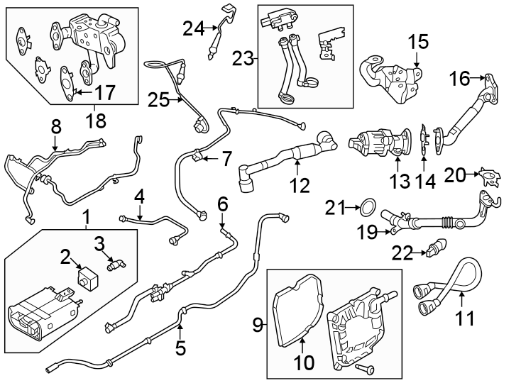 Diagram Emission system. Emission components. for your 2022 Ford Bronco Sport   