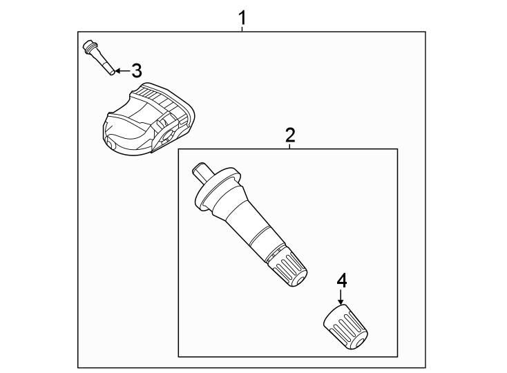 Diagram TIRE PRESSURE MONITOR COMPONENTS. for your 2022 Ford Transit-350   