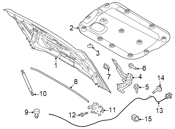 Diagram Hood & components. for your Ford Bronco  